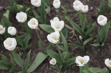 Similar image 21709700