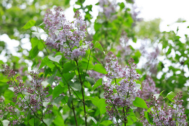 Similar image 21709713