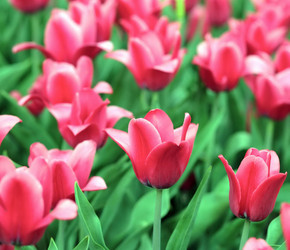 Similar image 21709715