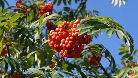 Similar image 21709729