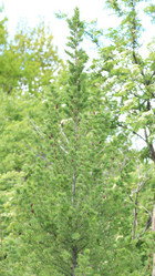 Similar image 21709733