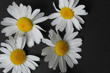 Similar image 21717836