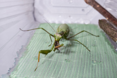 Similar image 21709615