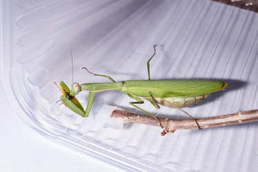 Similar image 21709616