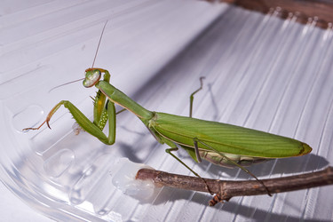 Similar image 21709617