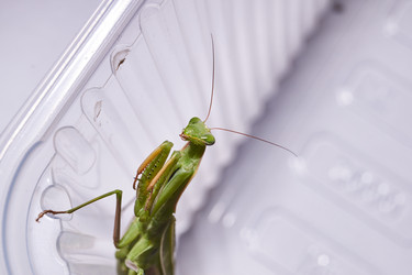 Similar image 21709619