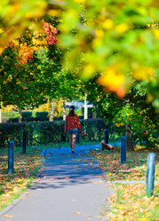 Similar image 21710621