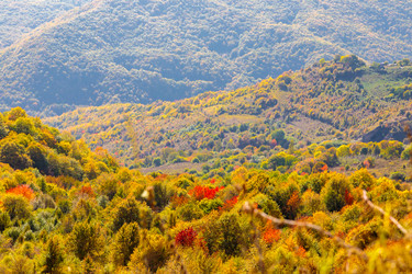 Similar image 21710622