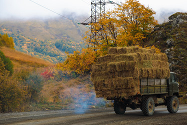 Similar image 21710636