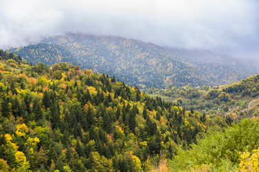 Similar image 21710643