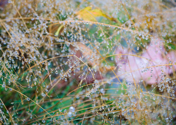 Similar image 21710648