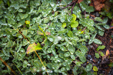 Similar image 21710650