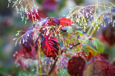 Similar image 21710652