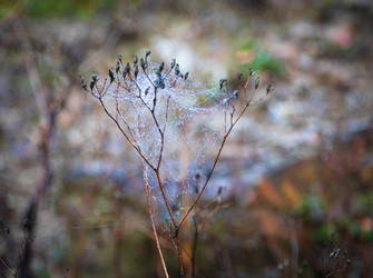 Similar image 21710654