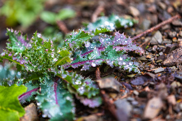 Similar image 21710658