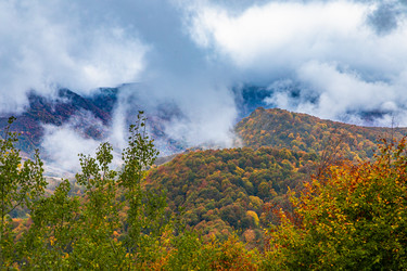 Similar image 21710664