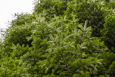 Similar image 21710672