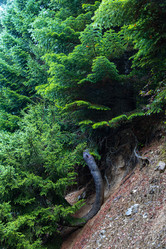 Similar image 21710680