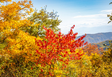 Similar image 21710687