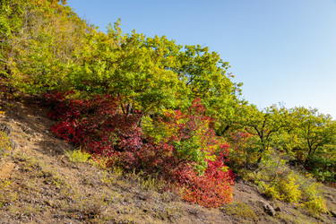 Similar image 21710693