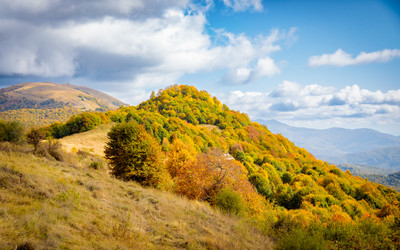 Similar image 21710695