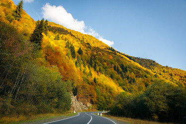 Similar image 21709762