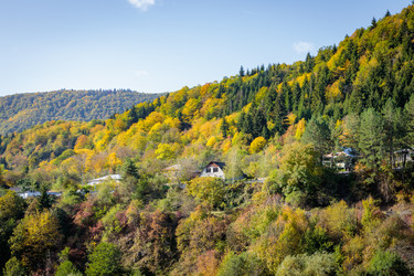 Similar image 21709764