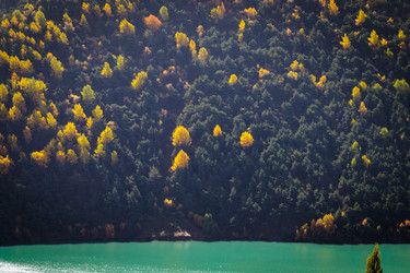 Similar image 21709772