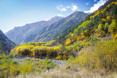 Similar image 21709778