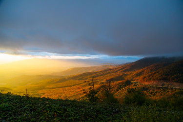 Similar image 21709802