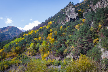 Similar image 21709807