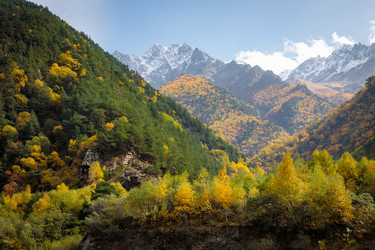 Similar image 21709809