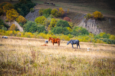 Similar image 21709823