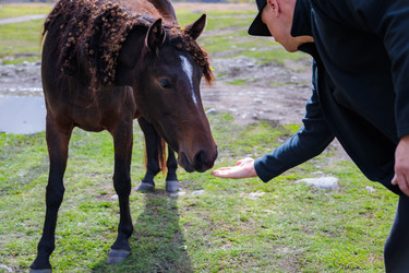 Similar image 21710055