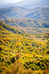 Similar image 21710065