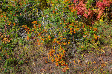 Similar image 21710708