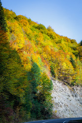 Similar image 21710711