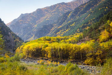 Similar image 21710718