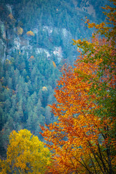 Similar image 21710741