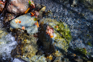 Similar image 21710763