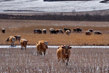 Similar image 21710517