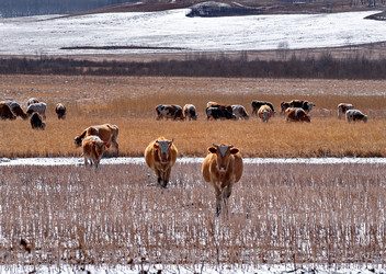 Similar image 21710519