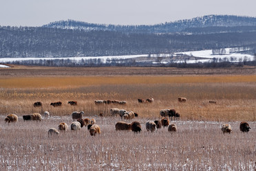 Similar image 21710520