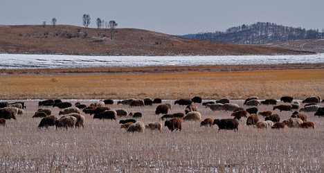 Similar image 21710521