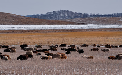 Similar image 21710522