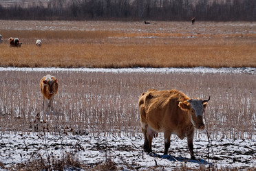 Similar image 21710523