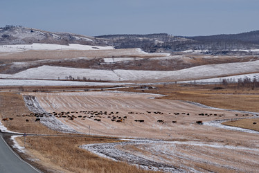 Similar image 21710525