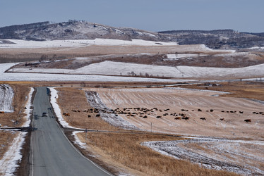 Similar image 21710527