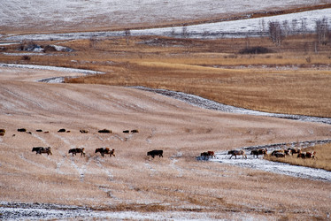 Similar image 21710528