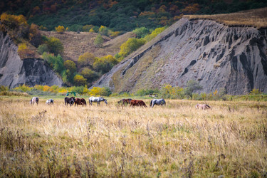 Similar image 21710778